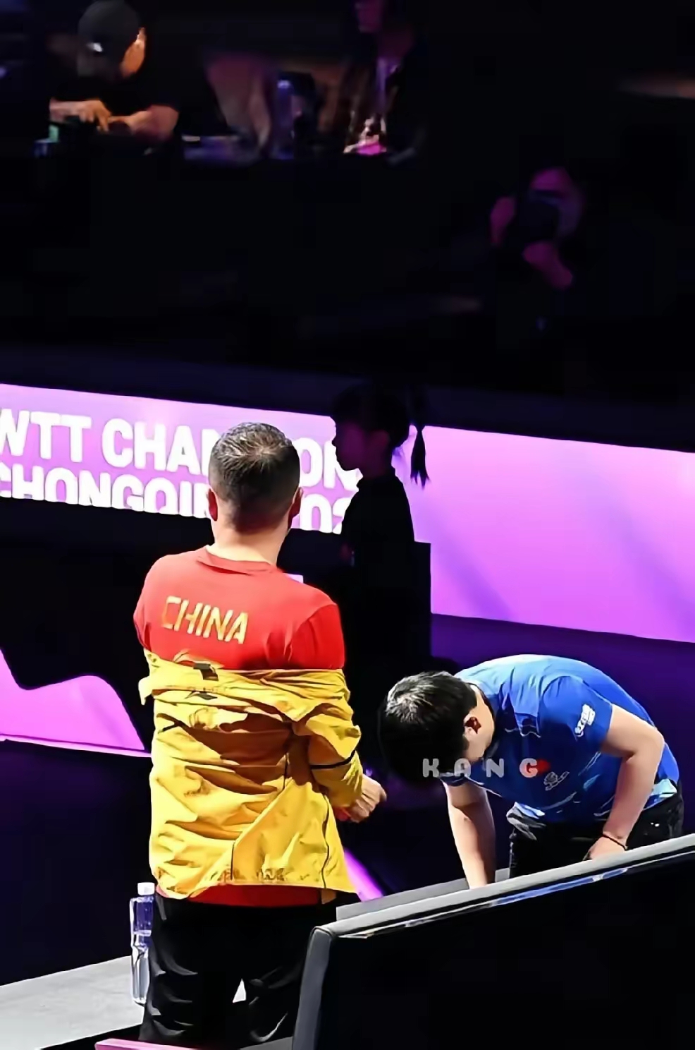 丹麦队险胜韩国队，马琳关键制胜的简单介绍